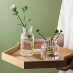 vaso de vidro transparente borosilicato para plantas hidropônicas