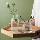 vaso de vidro transparente borosilicato para plantas hidropônicas