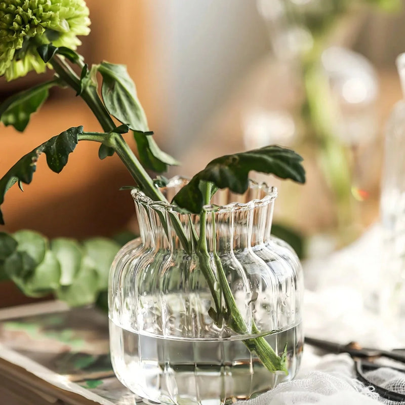 vaso de vidro transparente borosilicato para plantas hidropônicas