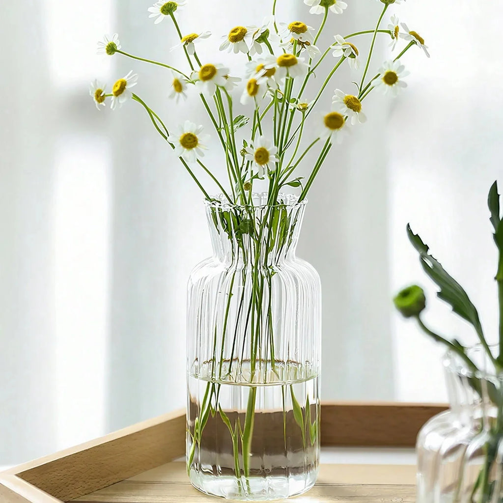 vaso de vidro transparente borosilicato para plantas hidropônicas