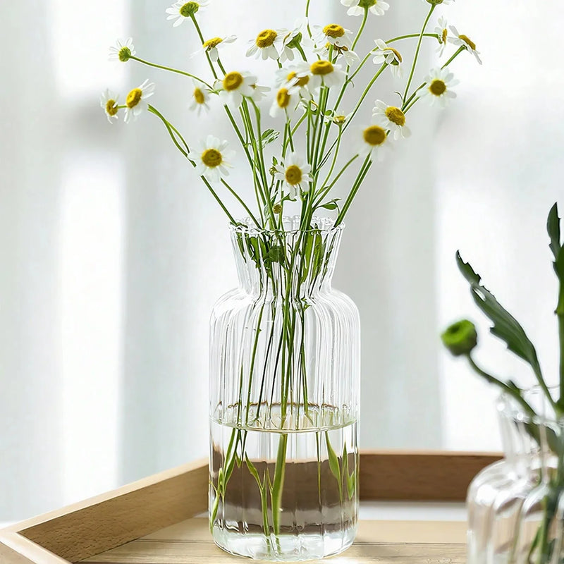vaso de vidro transparente borosilicato para plantas hidropônicas